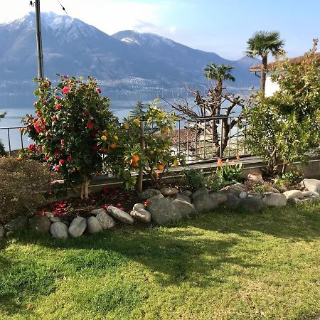 Camera Con Bagno Privato E Giardino Brione sopra Minusio 外观 照片