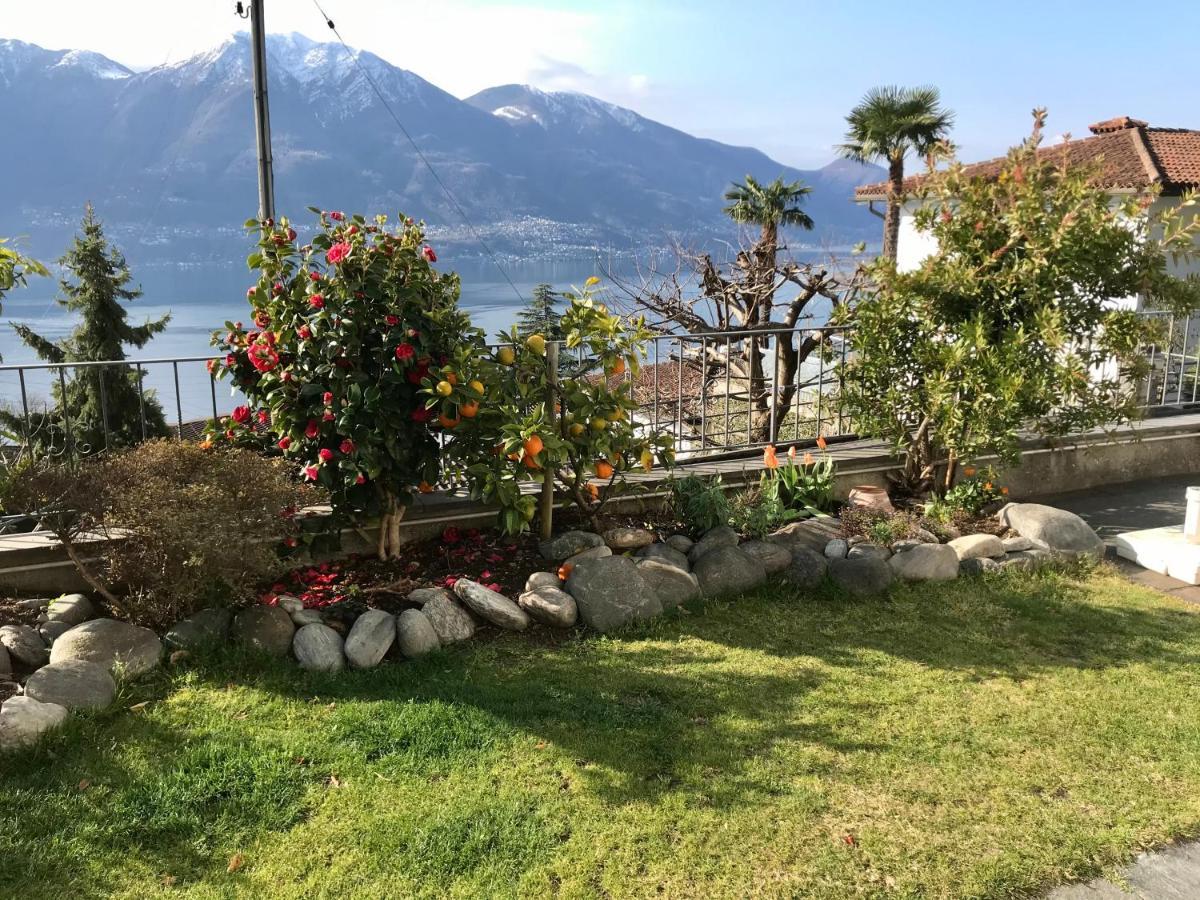 Camera Con Bagno Privato E Giardino Brione sopra Minusio 外观 照片